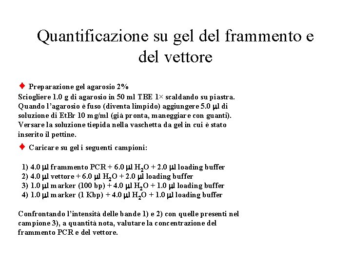 Quantificazione su gel del frammento e del vettore Preparazione gel agarosio 2% Sciogliere 1.