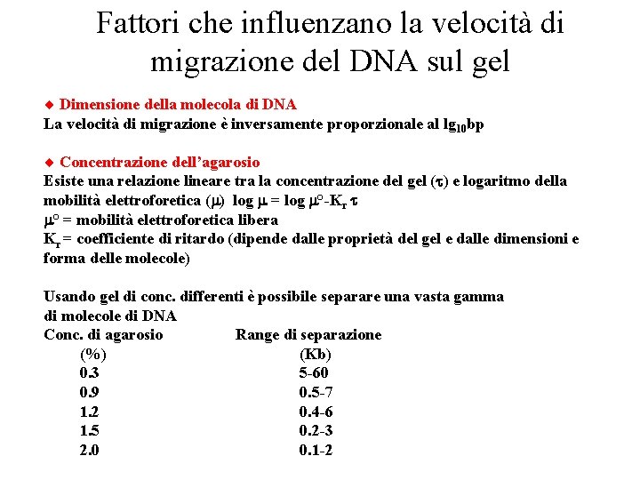 Fattori che influenzano la velocità di migrazione del DNA sul gel Dimensione della molecola