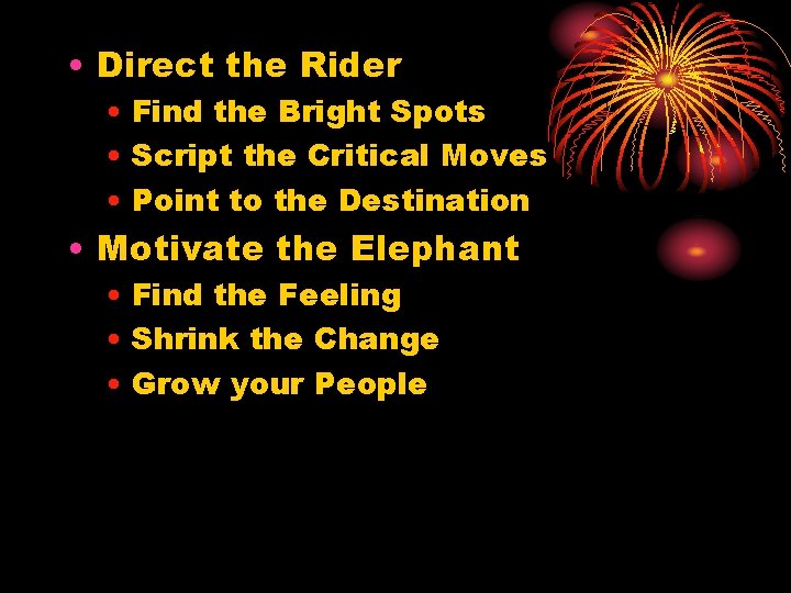  • Direct the Rider • Find the Bright Spots • Script the Critical