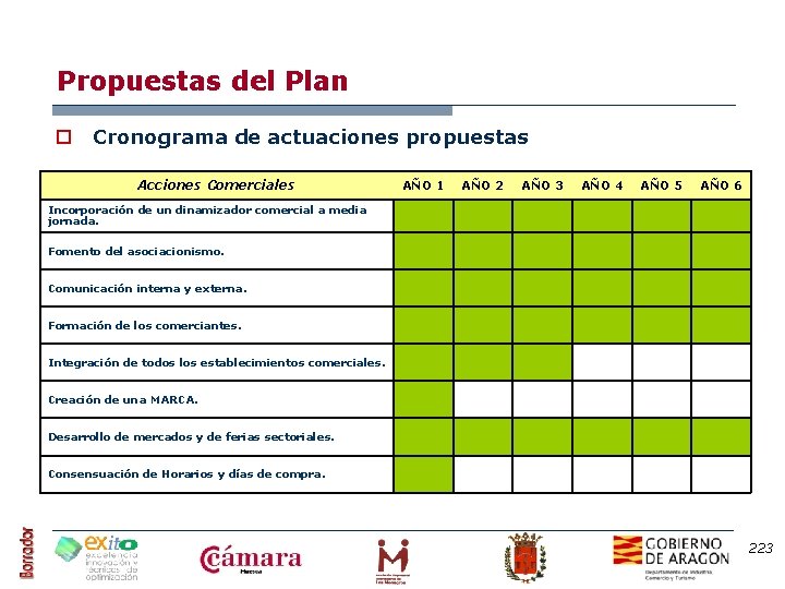 Propuestas del Plan o Cronograma de actuaciones propuestas Acciones Comerciales Incorporación de un dinamizador