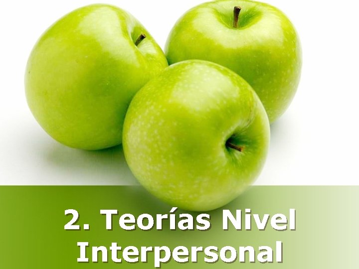 2. Teorías Nivel Interpersonal 