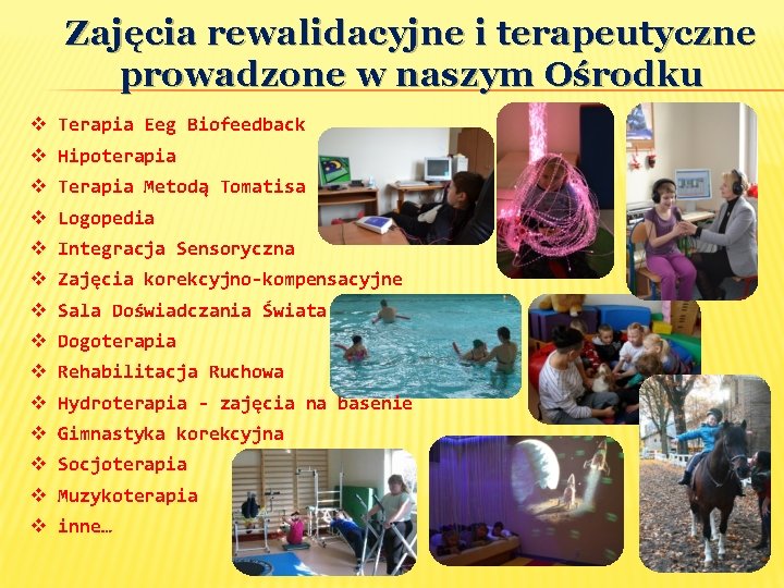 Zajęcia rewalidacyjne i terapeutyczne prowadzone w naszym Ośrodku v Terapia Eeg Biofeedback v Hipoterapia