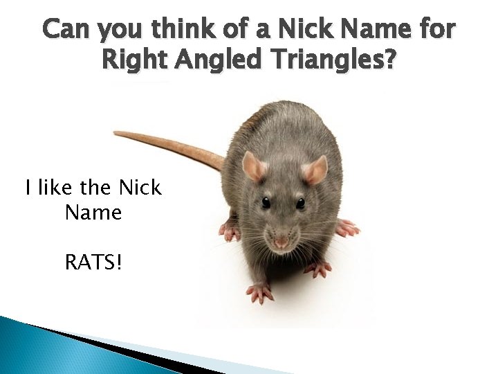 Can you think of a Nick Name for Right Angled Triangles? I like the Can you think of a Nick Name for Right Angled Triangles? I like the
