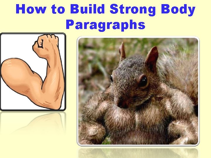 How to Build Strong Body Paragraphs 