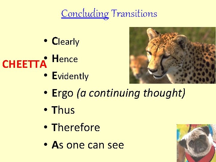 Concluding Transitions • • CHEETTA • • • Clearly Hence Evidently Ergo (a continuing