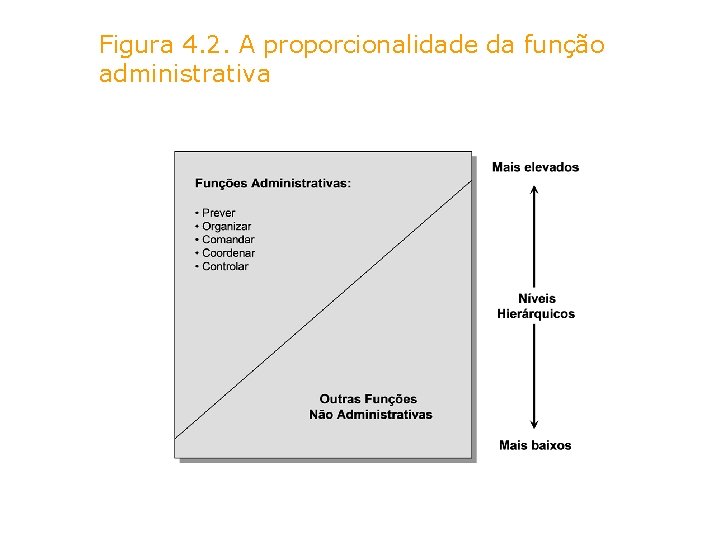 Figura 4. 2. A proporcionalidade da função administrativa 