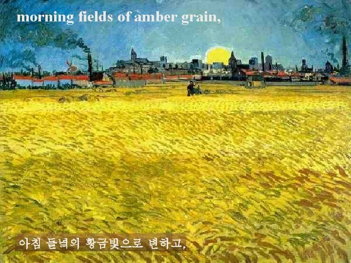 morning fields of amber grain, 아침 들녘의 황금빛으로 변하고, 