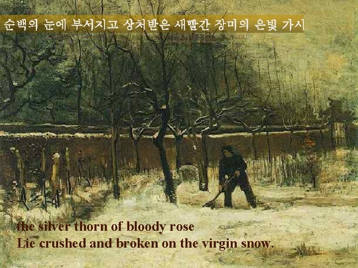 순백의 눈에 부서지고 상처받은 새빨간 장미의 은빛 가시 the silver thorn of bloody rose