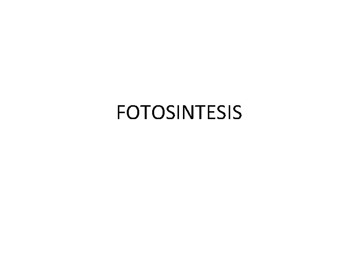 FOTOSINTESIS 