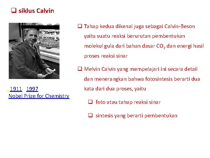 q siklus Calvin q Tahap kedua dikenal juga sebagai Calvin-Beson yaitu suatu reaksi berurutan