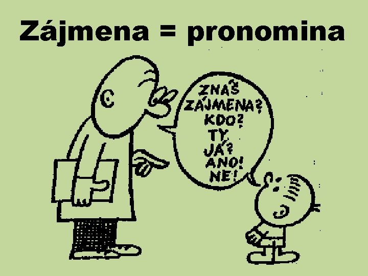 Zájmena = pronomina 