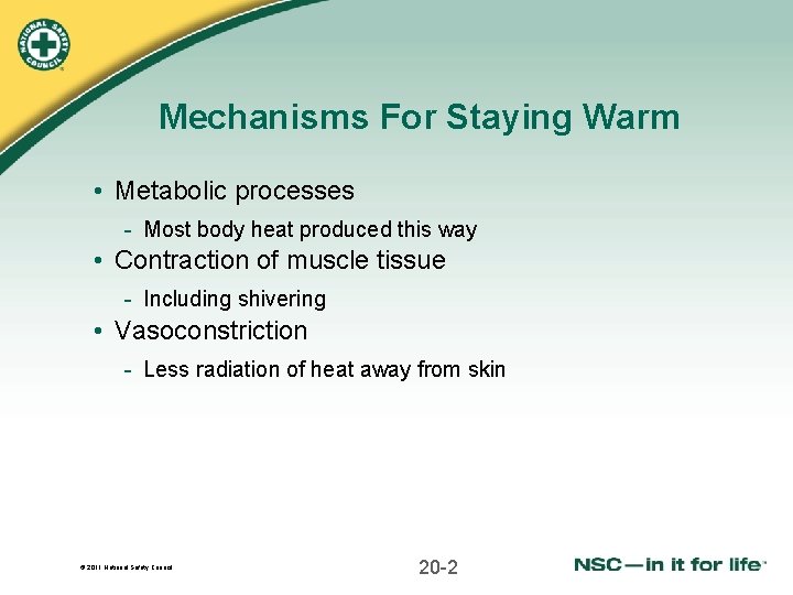 Mechanisms For Staying Warm • Metabolic processes - Most body heat produced this way