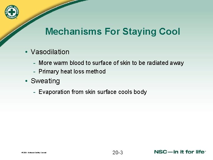 Mechanisms For Staying Cool • Vasodilation - More warm blood to surface of skin