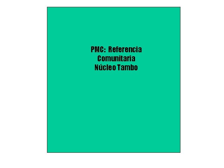 PMC: Referencia Comunitaria Núcleo Tambo 