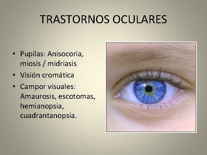 TRASTORNOS OCULARES • Pupilas: Anisocoria, miosis / midriasis • Visión cromática • Campor visuales:
