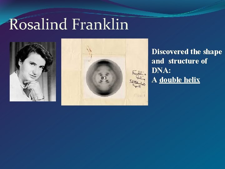 Rosalind Franklin Discovered the shape and structure of DNA: A double helix 