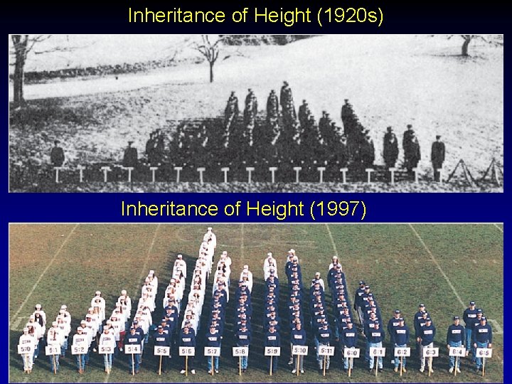 Inheritance of Height (1920 s) Inheritance of Height (1997) Inheritance of Height (1920 s) Inheritance of Height (1997)