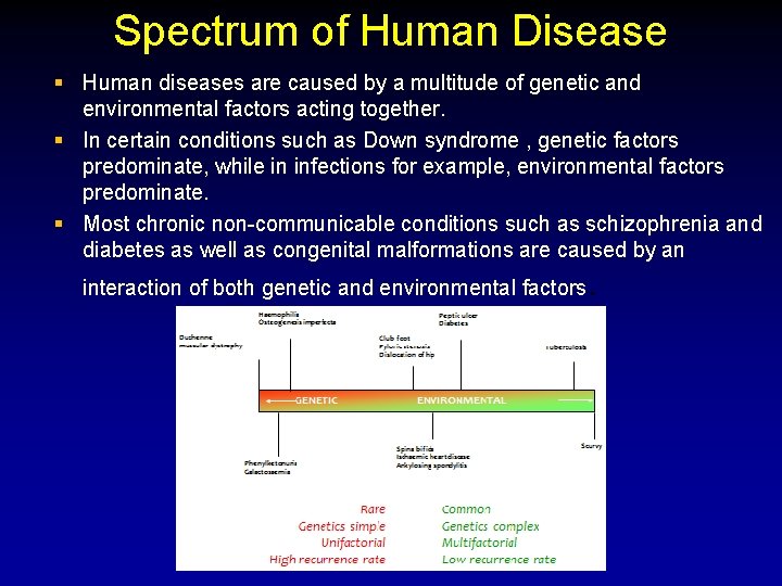 Spectrum of Human Disease § Human diseases are caused by a multitude of genetic Spectrum of Human Disease § Human diseases are caused by a multitude of genetic
