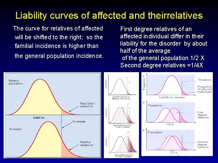 Liability curves of affected and theirrelatives The curve for relatives of affected will be Liability curves of affected and theirrelatives The curve for relatives of affected will be
