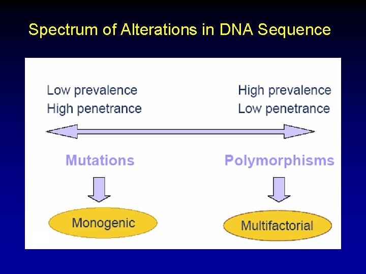 Spectrum of Alterations in DNA Sequence Spectrum of Alterations in DNA Sequence