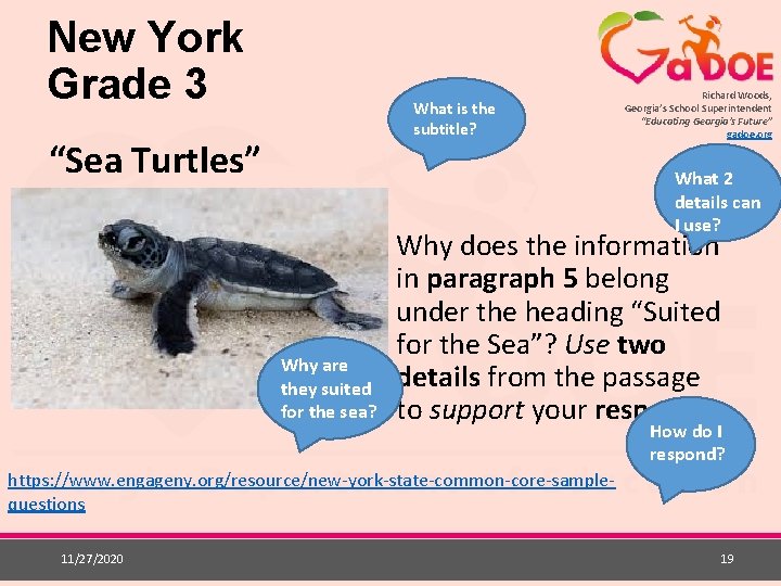 New York Grade 3 What is the subtitle? “Sea Turtles” Richard Woods, Georgia’s School