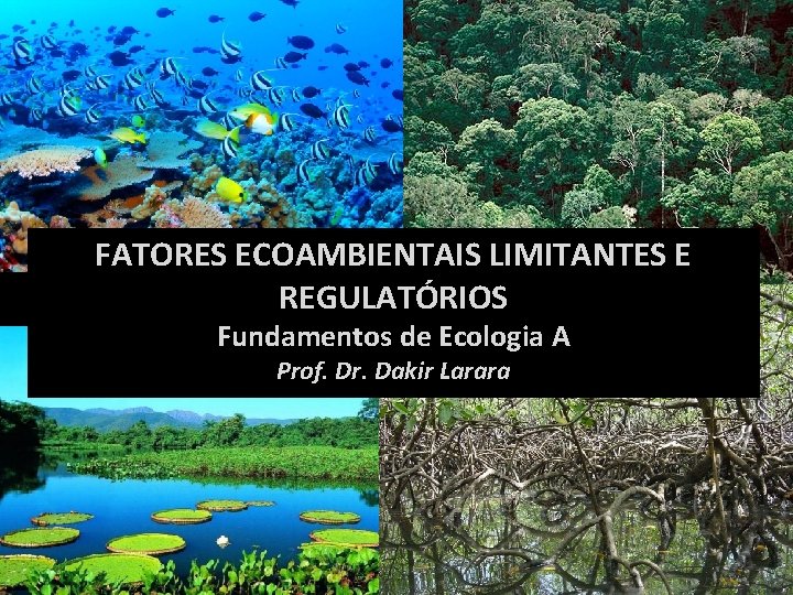 FATORES ECOAMBIENTAIS LIMITANTES E REGULATÓRIOS Fundamentos de Ecologia A Prof. Dr. Dakir Larara 