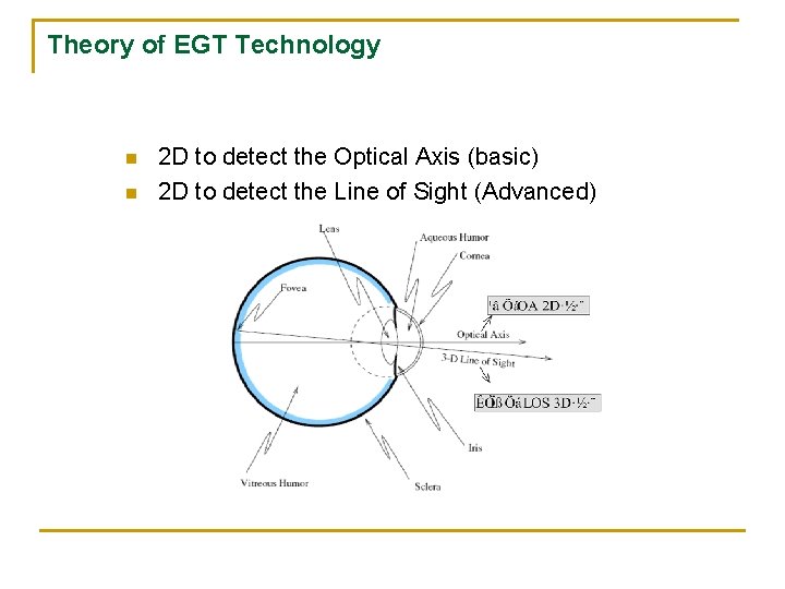 Theory of EGT Technology n n 2 D to detect the Optical Axis (basic)