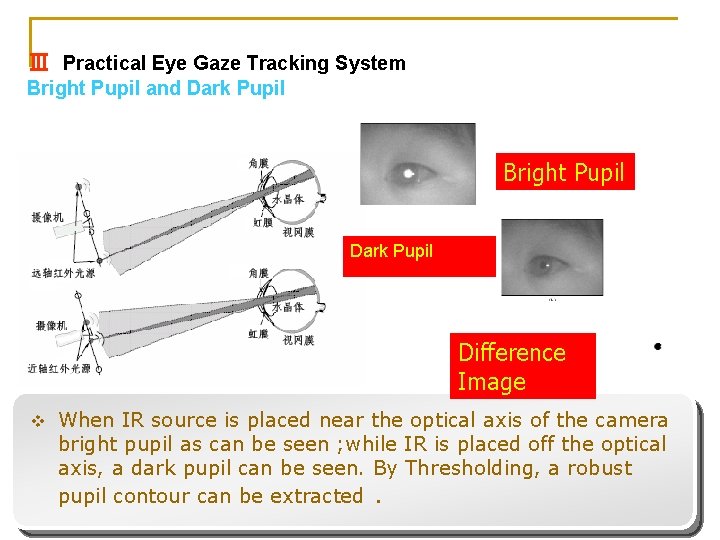 Ⅲ Practical Eye Gaze Tracking System Bright Pupil and Dark Pupil Bright Pupil Dark