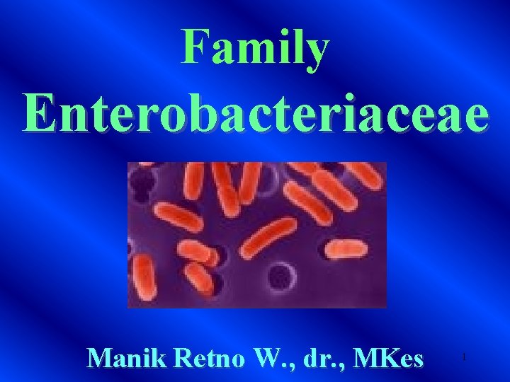 Family Enterobacteriaceae Manik Retno W. , dr. , MKes 1 