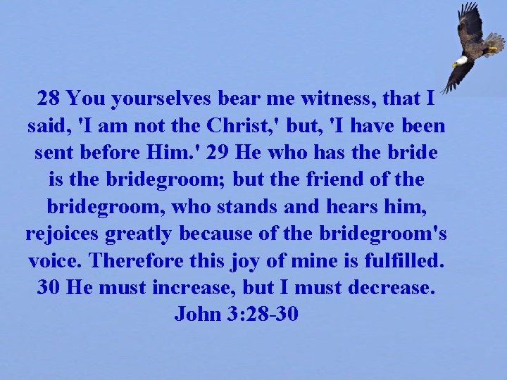 28 You yourselves bear me witness, that I said, 'I am not the Christ,