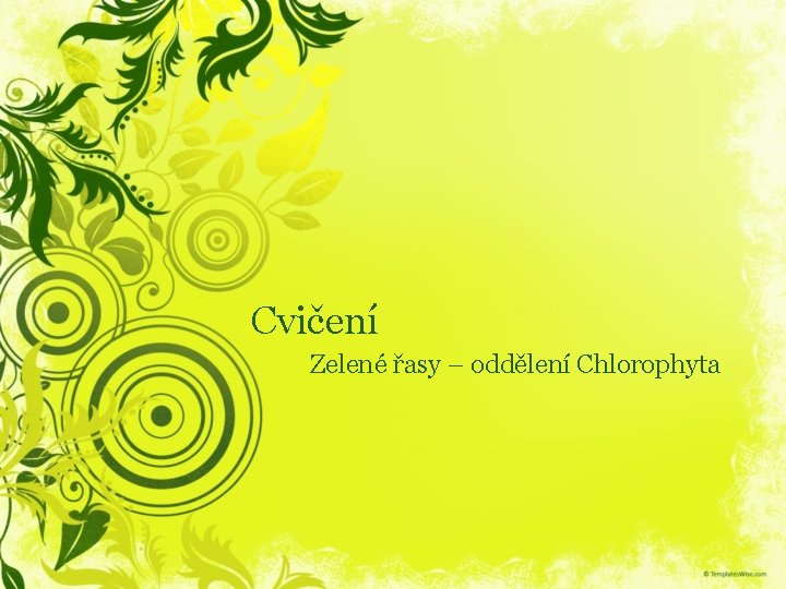 Cvičení Zelené řasy – oddělení Chlorophyta 