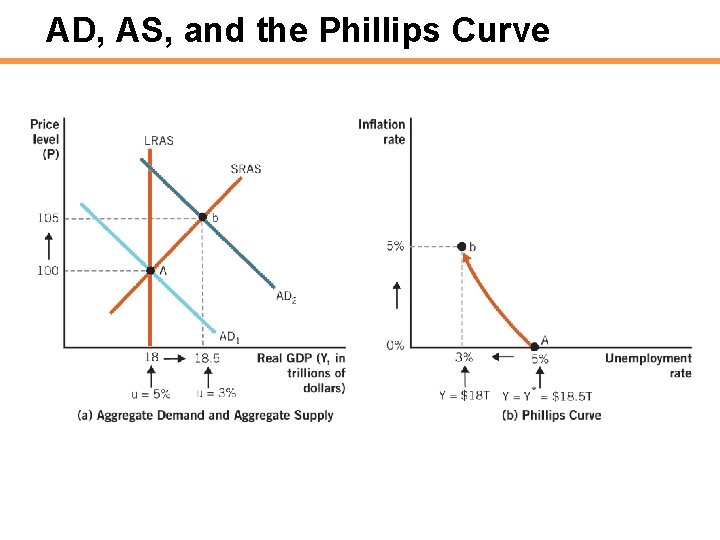 AD, AS, and the Phillips Curve 