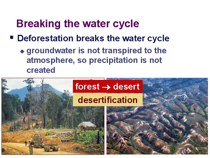 Breaking the water cycle § Deforestation breaks the water cycle u groundwater is not