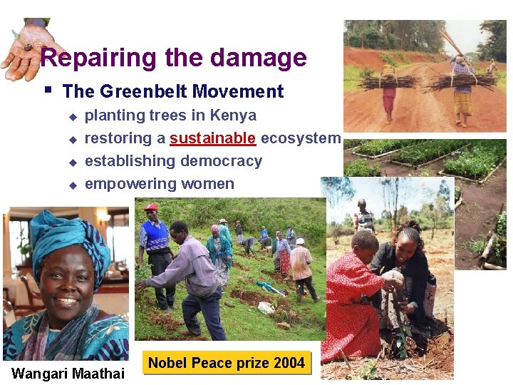 Repairing the damage § The Greenbelt Movement u u planting trees in Kenya restoring