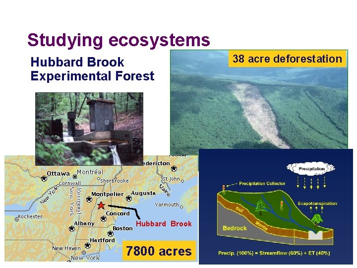 Studying ecosystems Hubbard Brook Experimental Forest 7800 acres 38 acre deforestation 