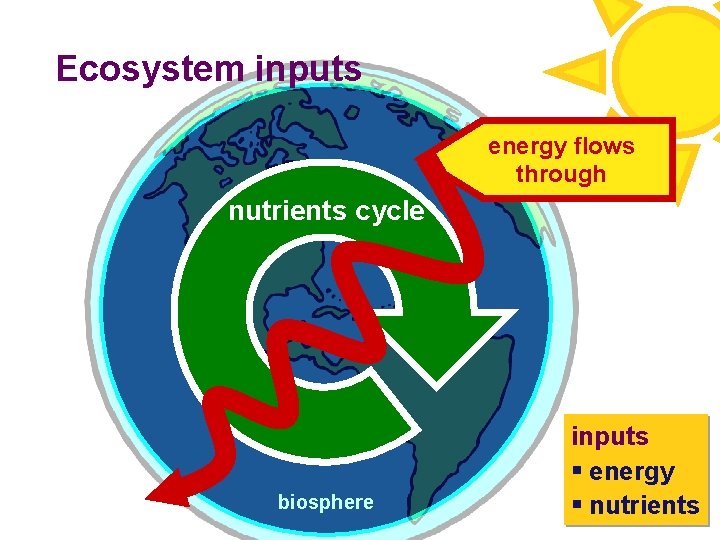 Ecosystem inputs energy flows through nutrients cycle biosphere inputs § energy § nutrients 