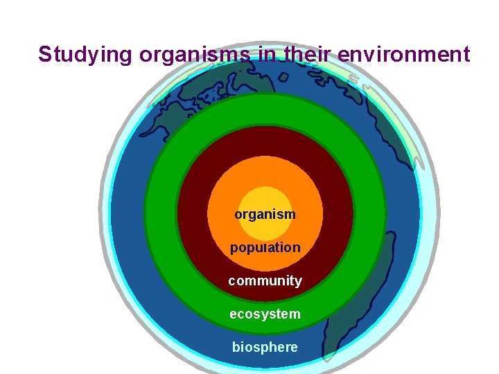 Studying organisms in their environment organism population community ecosystem biosphere 