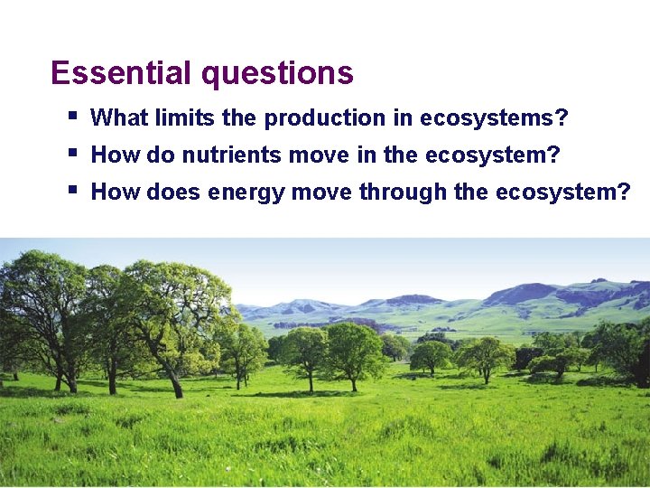 Essential questions § What limits the production in ecosystems? § How do nutrients move