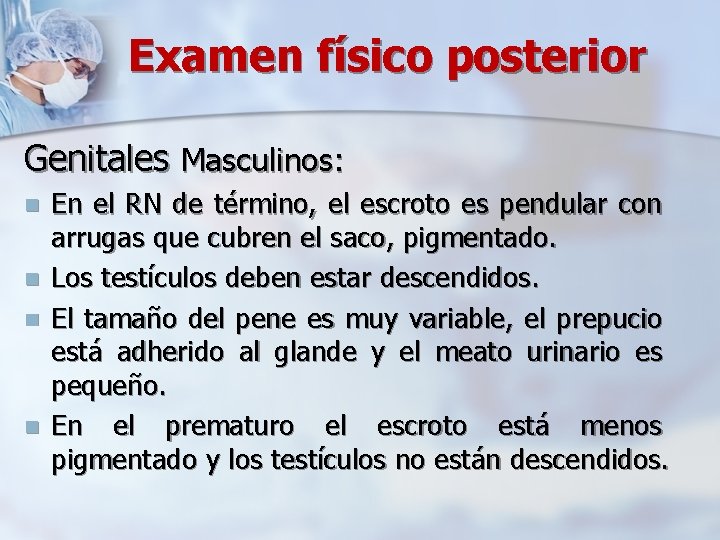 Examen físico posterior Genitales Masculinos: n n En el RN de término, el escroto