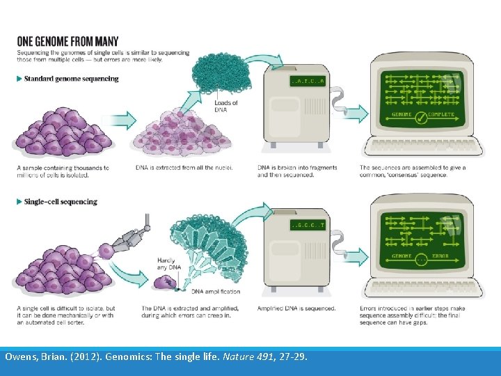 Owens, Brian. (2012). Genomics: The single life. Nature 491, 27 -29. 