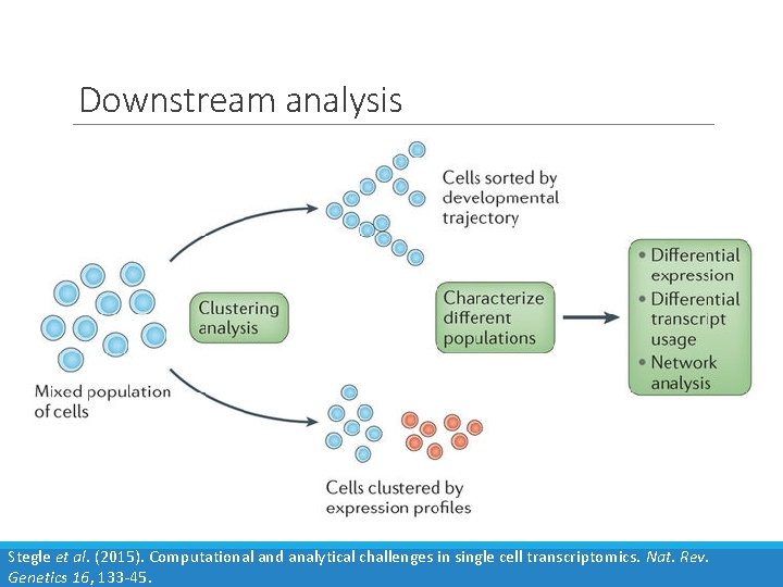 Downstream analysis Stegle et al. (2015). Computational and analytical challenges in single cell transcriptomics.