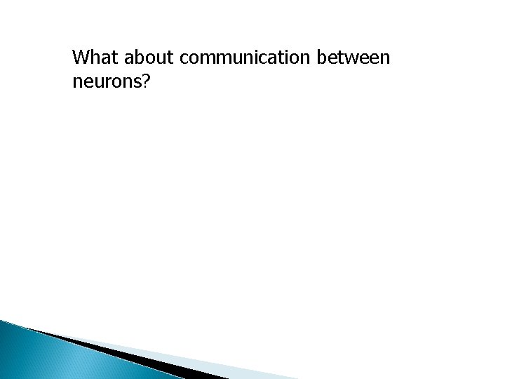 What about communication between neurons? 