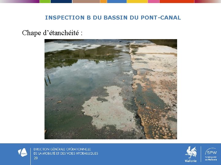 INSPECTION B DU BASSIN DU PONT-CANAL Chape d’étanchéité : 29 