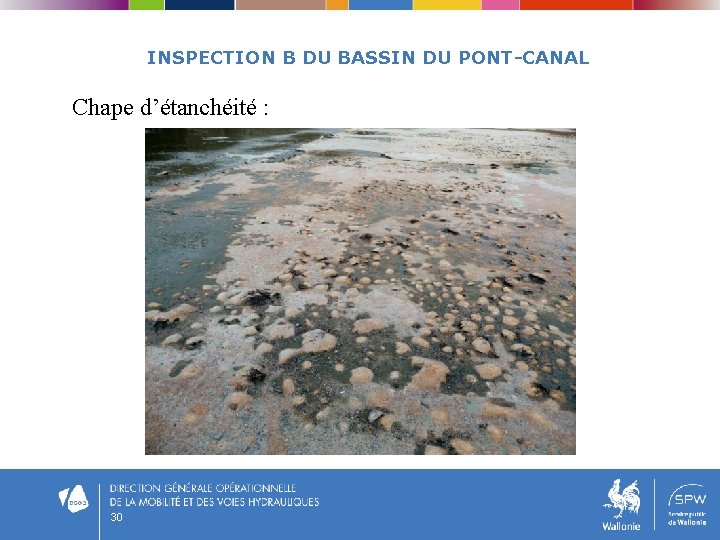 INSPECTION B DU BASSIN DU PONT-CANAL Chape d’étanchéité : 30 