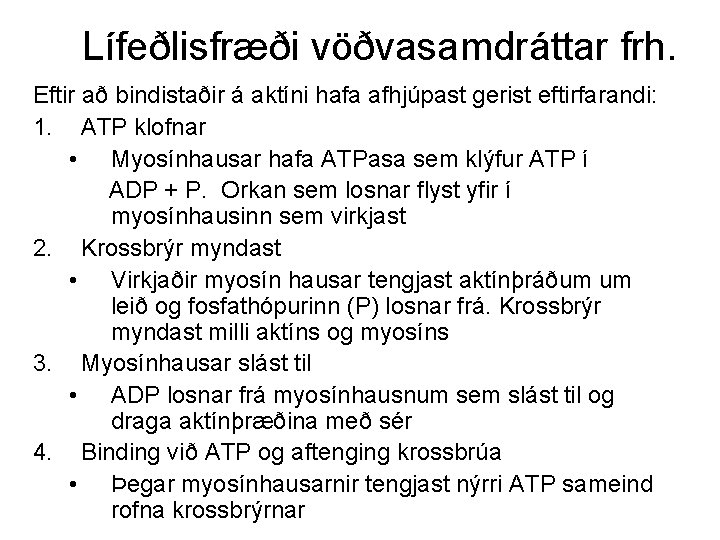 Lífeðlisfræði vöðvasamdráttar frh. Eftir að bindistaðir á aktíni hafa afhjúpast gerist eftirfarandi: 1. ATP