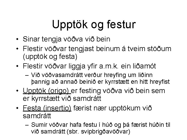 Upptök og festur • Sinar tengja vöðva við bein • Flestir vöðvar tengjast beinum