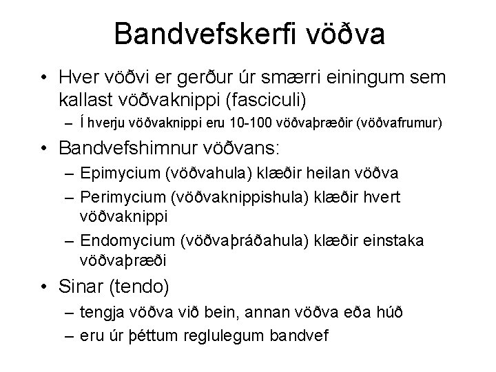 Bandvefskerfi vöðva • Hver vöðvi er gerður úr smærri einingum sem kallast vöðvaknippi (fasciculi)