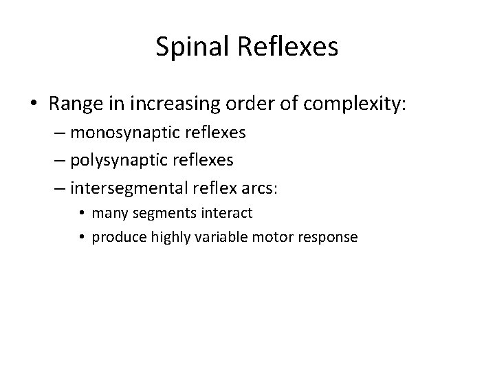 Spinal Reflexes • Range in increasing order of complexity: – monosynaptic reflexes – polysynaptic