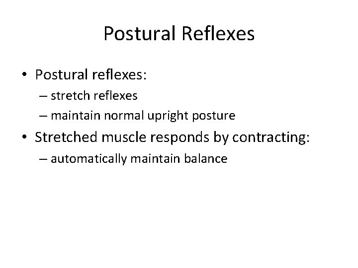 Postural Reflexes • Postural reflexes: – stretch reflexes – maintain normal upright posture •