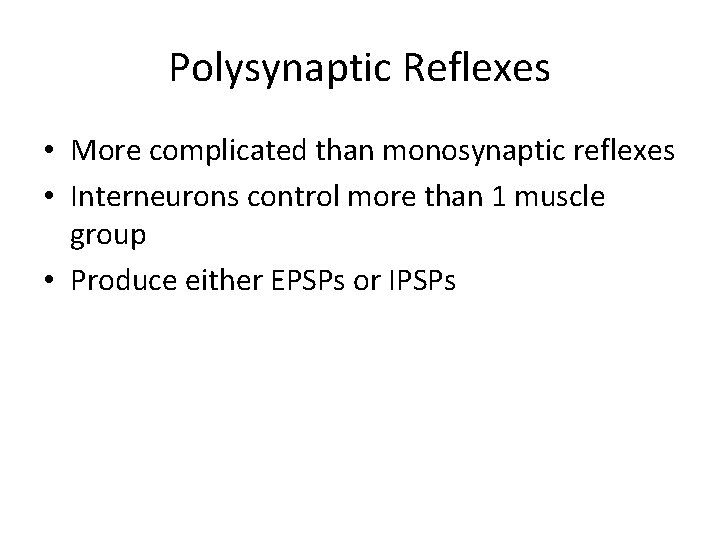 Polysynaptic Reflexes • More complicated than monosynaptic reflexes • Interneurons control more than 1